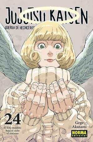 JUJUTSU KAISEN 24 | 9788467967319 | AKUTAMI, GEGE | Librería Castillón - Comprar libros online Aragón, Barbastro