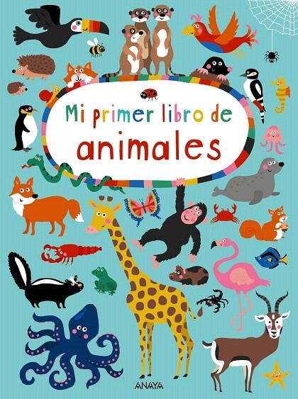 Mi primer libro de animales | 9788469835913 | Holtfreter, Nastja | Librería Castillón - Comprar libros online Aragón, Barbastro