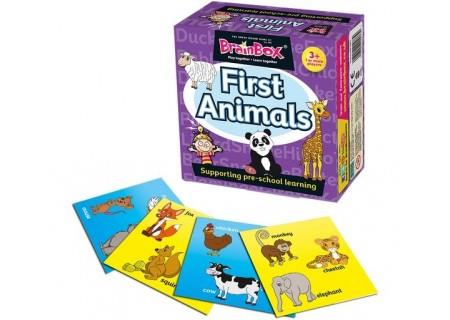 JUEGO DE MEMORIA BRAINBOX FIRST ANIMALS PARA EDUCACIÓN INFANTIL | 5025822900739 | Librería Castillón - Comprar libros online Aragón, Barbastro