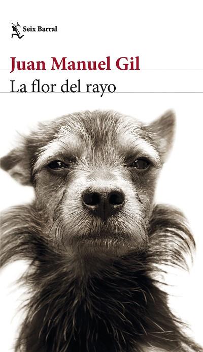 La flor del rayo | 9788432241574 | Gil, Juan Manuel | Librería Castillón - Comprar libros online Aragón, Barbastro