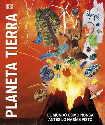 Planeta Tierra | 9780241582817 | DK | Librería Castillón - Comprar libros online Aragón, Barbastro