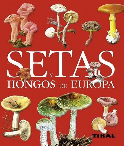 SETAS Y HONGOS DE EUROPA | 9788499280127 | BECKER, GEORGES | Librería Castillón - Comprar libros online Aragón, Barbastro