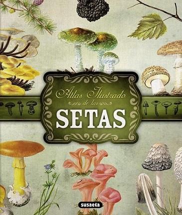 Atlas ilustrado de las setas | 9788467722871 | Becker, Georges y otros | Librería Castillón - Comprar libros online Aragón, Barbastro