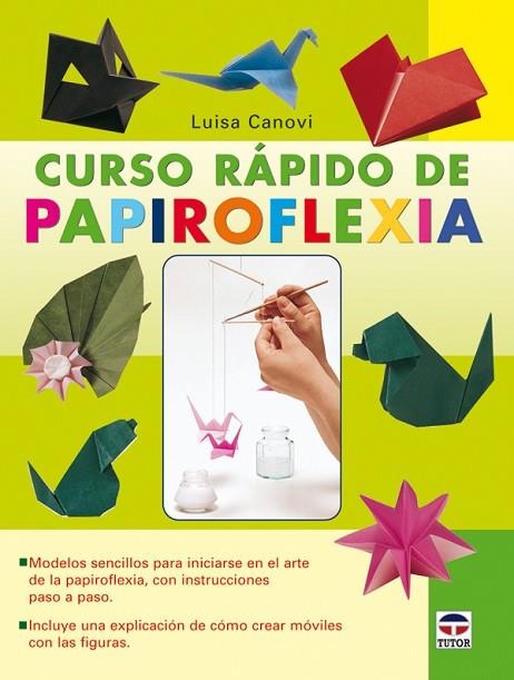 CURSO RÁPIDO DE PAPIROFLEXIA | 9788479027704 | Canovi, Luisa | Librería Castillón - Comprar libros online Aragón, Barbastro