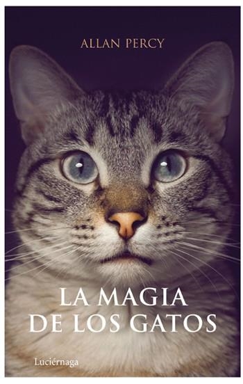 MAGIA DE LOS GATOS, LA | 9788492545063 | PERCY, ALLAN | Librería Castillón - Comprar libros online Aragón, Barbastro