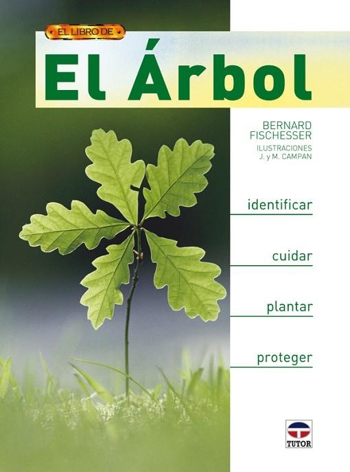 EL ÁRBOL | 9788479027834 | Fischesser, Bernard | Librería Castillón - Comprar libros online Aragón, Barbastro