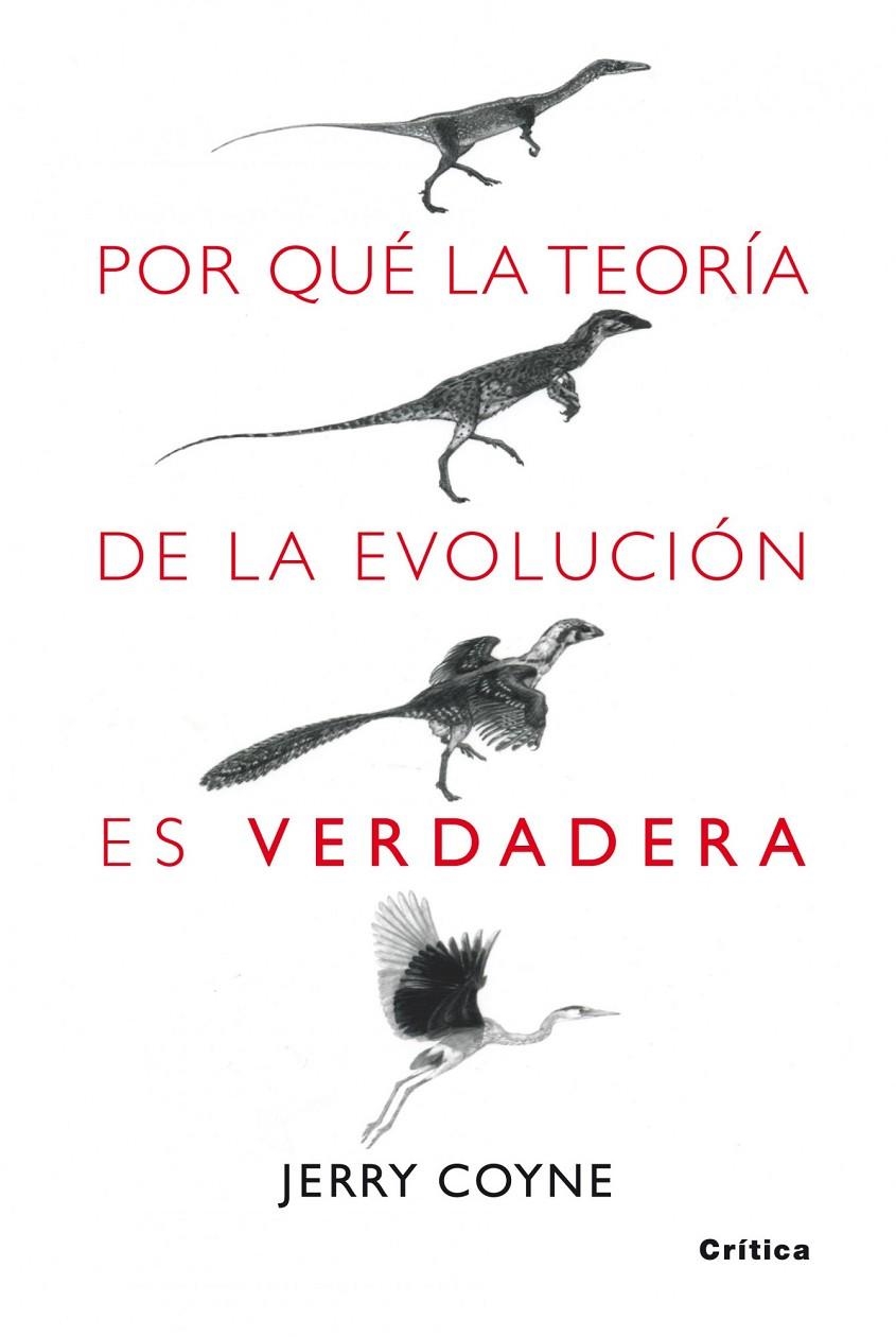 POR QUÉ LA TEORÍA DE LA EVOLUCIÓN ES VERDADERA | 9788498920222 | COYNE, JERRY A. | Librería Castillón - Comprar libros online Aragón, Barbastro