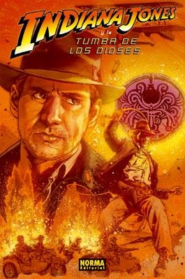 INDIANA JONES Y LA TUMBA DE LOS DIOSES | 9788498479515 | WILLIAMS, ROB | Librería Castillón - Comprar libros online Aragón, Barbastro