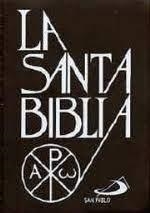 SANTA BIBLIA (BOLSILLO) PLASTICO | 9788428512756 | Librería Castillón - Comprar libros online Aragón, Barbastro