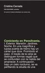 CENICIENTA EN PENSILVANIA (41º PREMIO CIUDAD DE BARBASTRO 2010) | 9788492975068 | CERRADA, CRISTINA | Librería Castillón - Comprar libros online Aragón, Barbastro