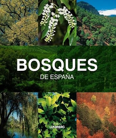 BOSQUES DE ESPAÑA - LUNWERG MEDIUM | 9788497857482 | VV.AA. | Librería Castillón - Comprar libros online Aragón, Barbastro