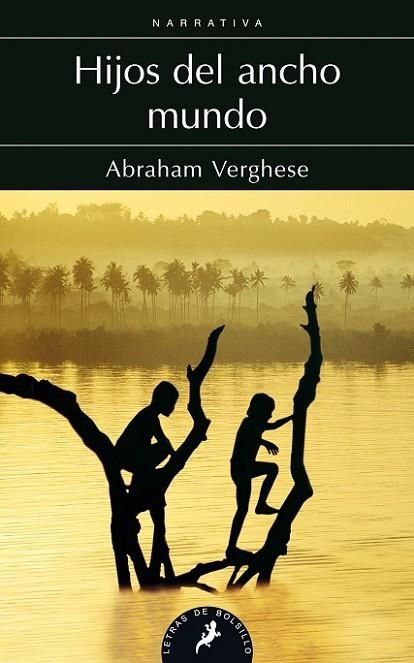 HIJOS DEL ANCHO MUNDO | 9788498383768 | Abraham Verghese | Librería Castillón - Comprar libros online Aragón, Barbastro