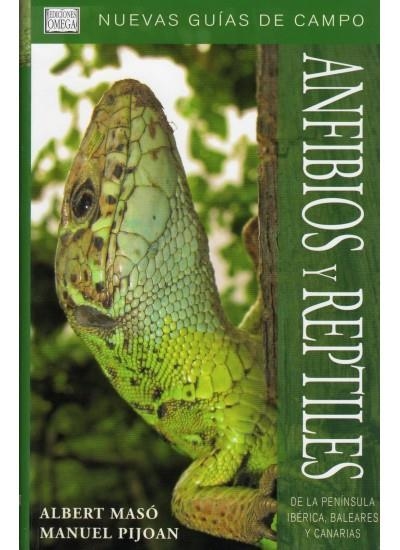 ANFIBIOS Y REPTILES - NUEVAS GUIAS DE CAMPO | 9788428213684 | MASO, ALBERT | Librería Castillón - Comprar libros online Aragón, Barbastro