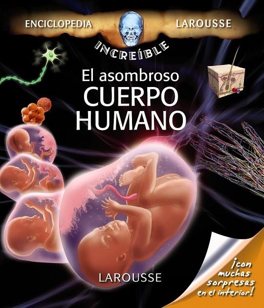 ASOMBROSO CUERPO HUMANO, EL  | 9788480169400 | Librería Castillón - Comprar libros online Aragón, Barbastro