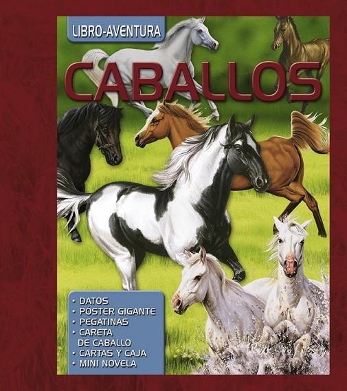 CABALLOS - LIBRO AVENTURA | 9788467708622 | VV.AA. | Librería Castillón - Comprar libros online Aragón, Barbastro