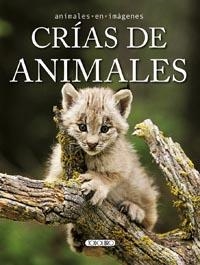 CRÍA DE ANIMALES | 9788499135366 | VV.AA. | Librería Castillón - Comprar libros online Aragón, Barbastro