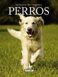 PERROS | 9788499135342 | VV.AA. | Librería Castillón - Comprar libros online Aragón, Barbastro