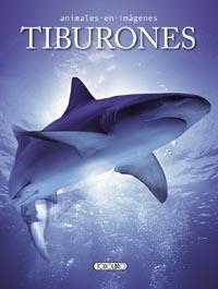 TIBURONES | 9788499135359 | VV.AA. | Librería Castillón - Comprar libros online Aragón, Barbastro