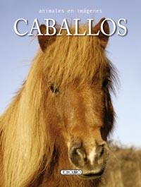 CABALLOS | 9788499135335 | VV.AA. | Librería Castillón - Comprar libros online Aragón, Barbastro