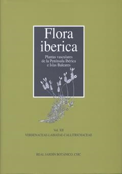 FLORA IBÉRICA VOL.XII : VERBENACEAE-LABIATAE-CALLITRICHACEAE | 9788400090418 | CASTROVIEJO, SANTIAGO | Librería Castillón - Comprar libros online Aragón, Barbastro