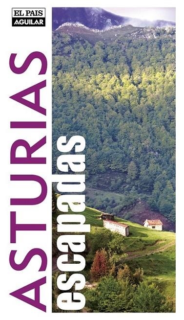 ESCAPADAS POR ASTURIAS | 9788403510913 | VV.AA. | Librería Castillón - Comprar libros online Aragón, Barbastro