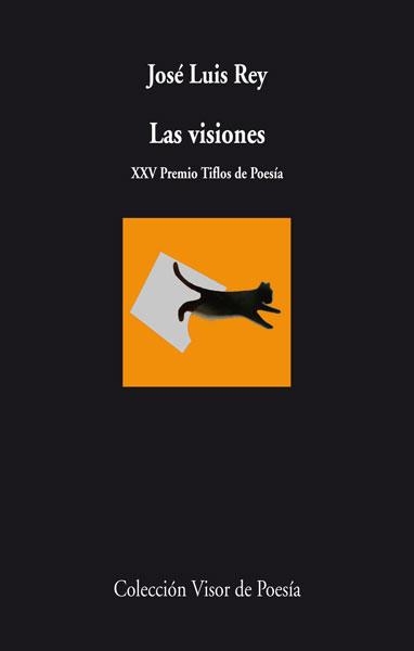 visiones, Las | 9788498958164 | Rey, José Luis | Librería Castillón - Comprar libros online Aragón, Barbastro