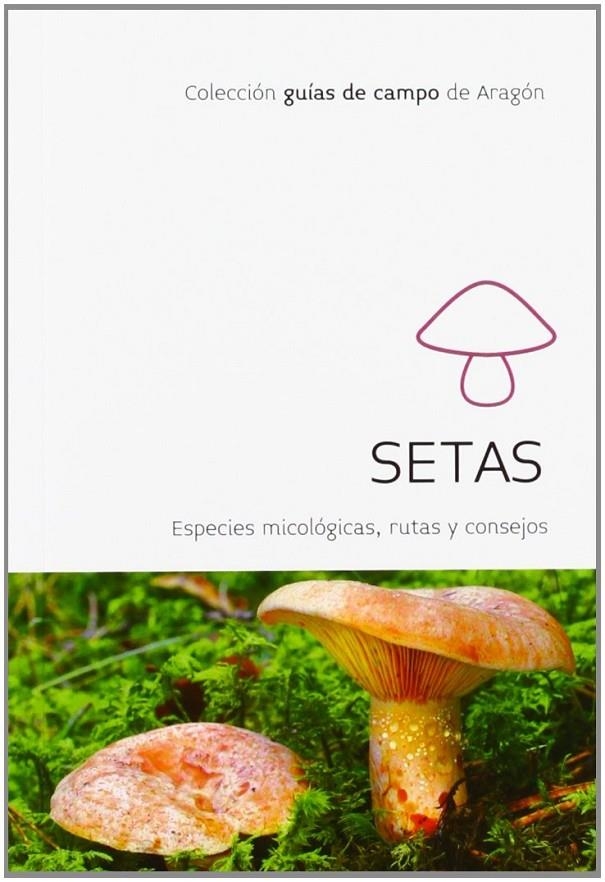 SETAS. ESPECIES MICOLÓGICAS, RUTAS Y CONSEJOS | 9788483218518 | Sánchez Carcavilla, Jesús Carlos | Librería Castillón - Comprar libros online Aragón, Barbastro