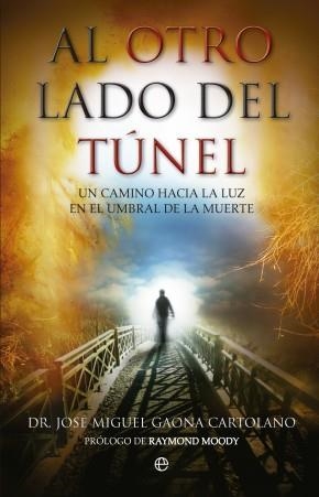 AL OTRO LADO DEL TUNEL | 9788499702643 | GAONA, JOSE MIGUEL | Librería Castillón - Comprar libros online Aragón, Barbastro