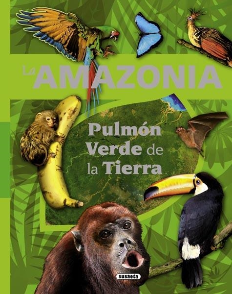 AMAZONIA PULMÓN VERDE DE LA TIERRA, LA | 9788467716191 | RODRÍGUEZ, CARMEN; SERRANO, JOSÉ MANUEL | Librería Castillón - Comprar libros online Aragón, Barbastro