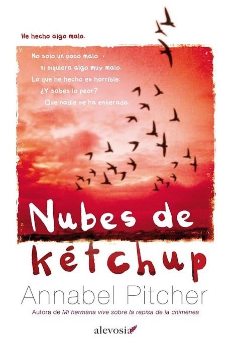 Nubes de kétchup | 9788415608394 | Pitcher, Annabel | Librería Castillón - Comprar libros online Aragón, Barbastro