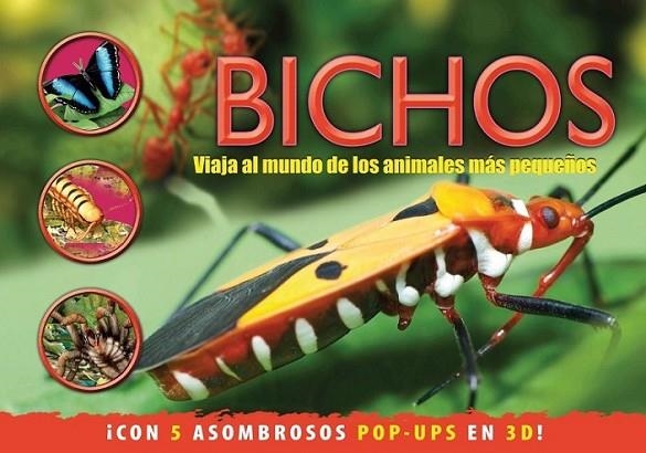 Bichos | 9788415656319 | Green, Jen | Librería Castillón - Comprar libros online Aragón, Barbastro