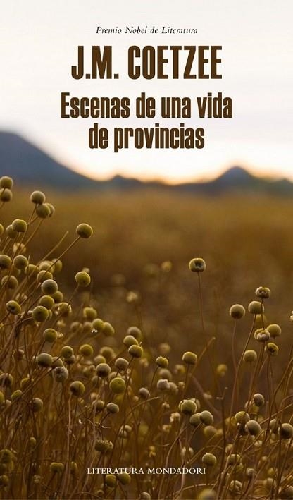 Escenas de una vida de provincias | 9788439726401 | COETZEE, J.M. | Librería Castillón - Comprar libros online Aragón, Barbastro