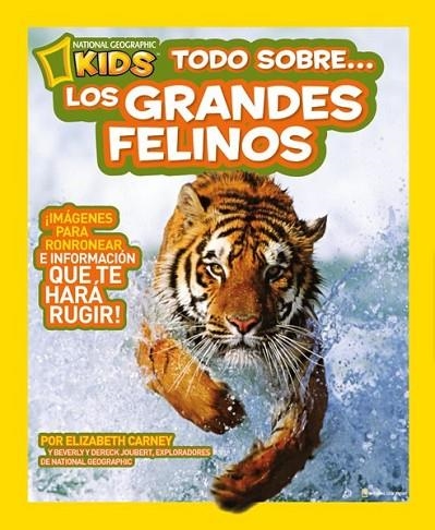 Todo sobre los grandes felinos | 9788482985664 | CARNEY, ELIZABETH | Librería Castillón - Comprar libros online Aragón, Barbastro