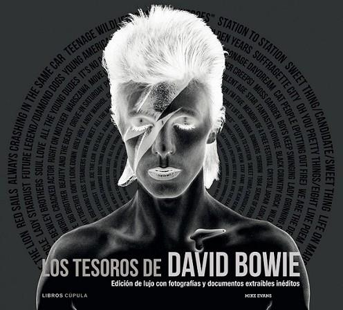 Los tesoros de David Bowie | 9788448008918 | Evans, Mike | Librería Castillón - Comprar libros online Aragón, Barbastro