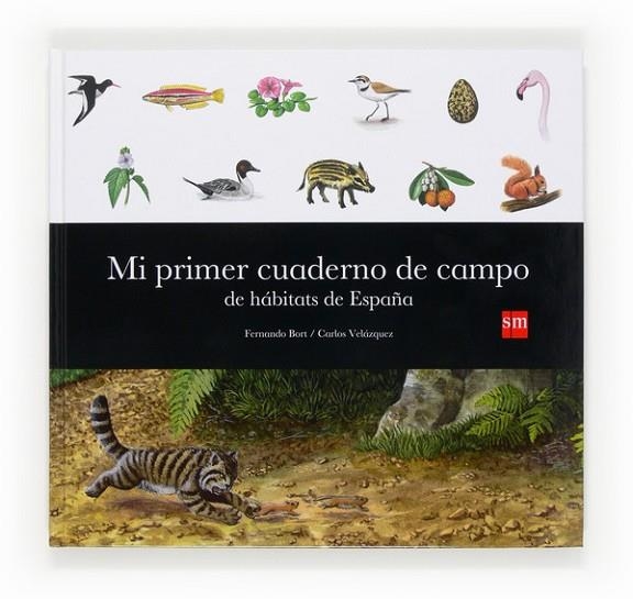 MI PRIMER CUADERNO DE CAMPO DE HABITATS | 9788467563566 | Bort Misol, Fernando | Librería Castillón - Comprar libros online Aragón, Barbastro