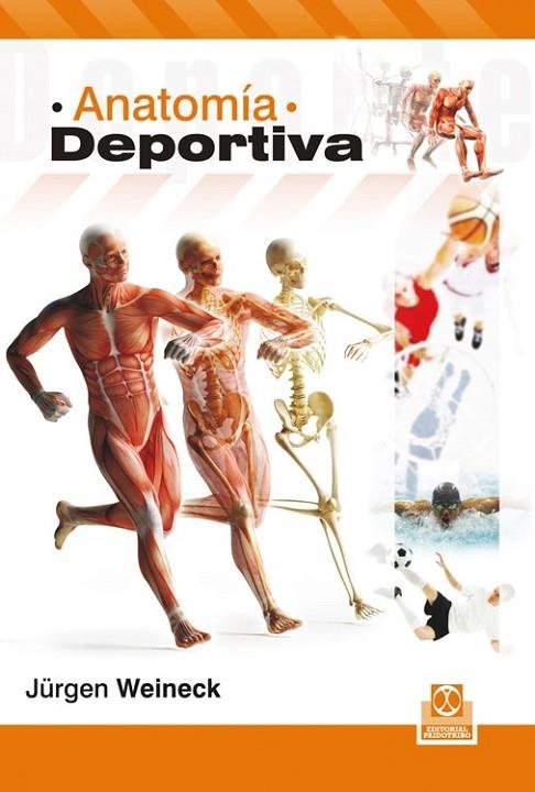 ANATOMÍA DEPORTIVA (Bicolor) | 9788499104041 | Weineck, Jürgen | Librería Castillón - Comprar libros online Aragón, Barbastro