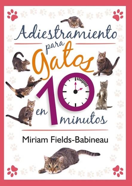 ADIESTRAMIENTO PARA GATOS EN 10 MINUTOS | 9788499102436 | Fields-Babineau, Miriam | Librería Castillón - Comprar libros online Aragón, Barbastro