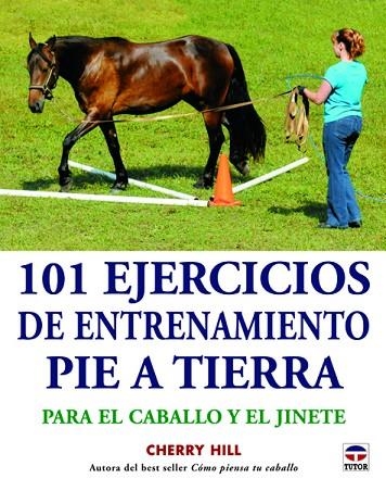 101 ejercicios de entrenamiento pie a tierra | 9788479029432 | Hill, Cherry | Librería Castillón - Comprar libros online Aragón, Barbastro