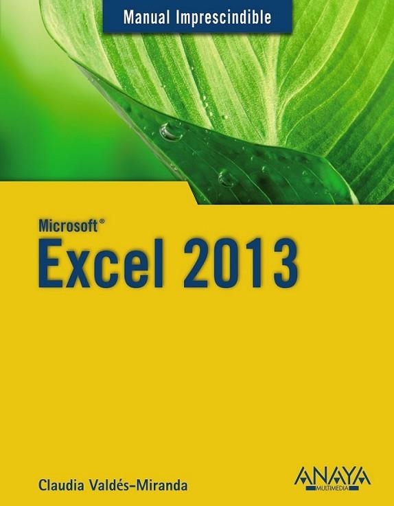 Excel 2013 - M.I. | 9788441534483 | Valdés-Miranda, Claudia | Librería Castillón - Comprar libros online Aragón, Barbastro