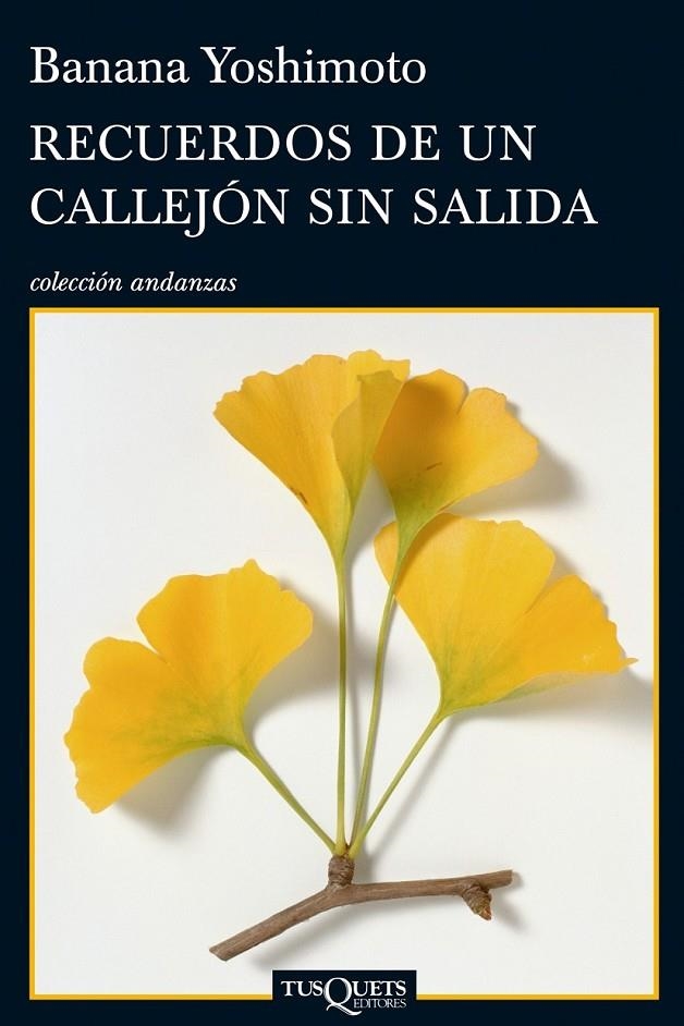 RECUERDOS DE UN CALLEJÓN SIN SALIDA | 9788483833360 | YOSHIMOTO, BORIS | Librería Castillón - Comprar libros online Aragón, Barbastro