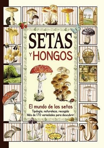 Setas y hongos | 9788415401100 | Todolibro, Equipo | Librería Castillón - Comprar libros online Aragón, Barbastro