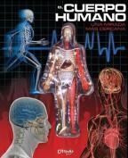 Cuerpo humano, el XL | 9789876371162 | Catapulta | Librería Castillón - Comprar libros online Aragón, Barbastro