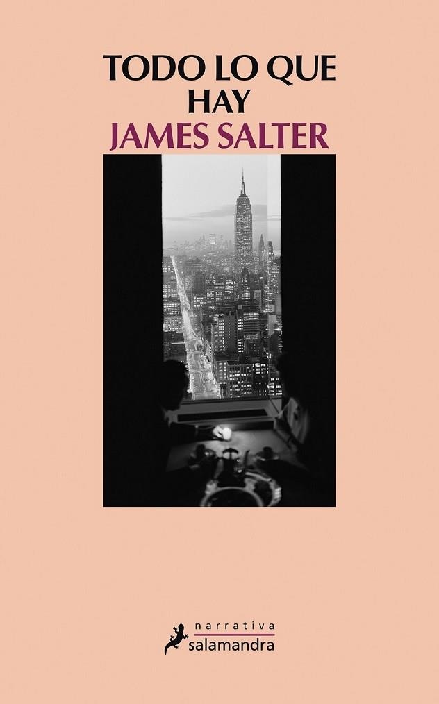 Todo lo que hay | 9788498385731 | James Salter | Librería Castillón - Comprar libros online Aragón, Barbastro