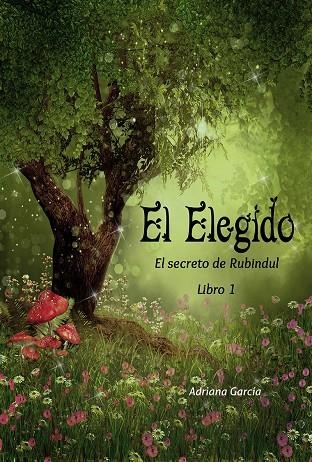 El Elegido : El secreto de Rubindul 1 | 9788494245701 | Garcia, Adriana | Librería Castillón - Comprar libros online Aragón, Barbastro