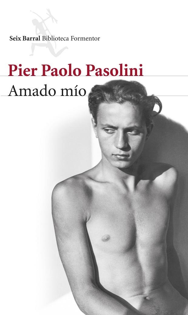 Amado mío | 9788432222870 | Pasolini, Pier Paolo | Librería Castillón - Comprar libros online Aragón, Barbastro