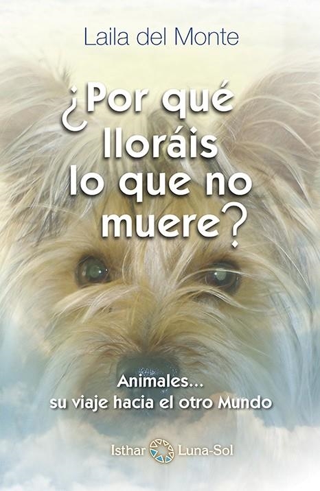 Por que lloráis lo que no muere | 9788494065842 | Monte, Laila del | Librería Castillón - Comprar libros online Aragón, Barbastro