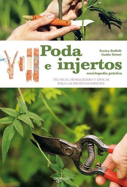 PODA E INJERTOS : ENCICLOPEDIA PRACTICA | 9788431541606 | BOFFELLI, ENRICA | Librería Castillón - Comprar libros online Aragón, Barbastro