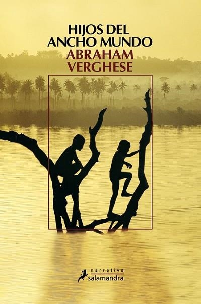 HIJOS DEL ANCHO MUNDO | 9788498382600 | Abraham Verghese | Librería Castillón - Comprar libros online Aragón, Barbastro