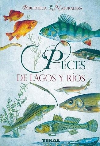 PECES DE LAGOS Y RÍOS | 9788492678044 | PEEL, KAREL | Librería Castillón - Comprar libros online Aragón, Barbastro