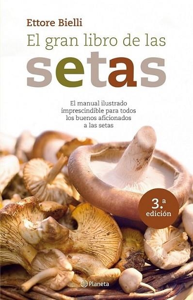 GRAN LIBRO DE LAS SETAS, EL | 9788408094180 | BIELLI, ETTORE | Librería Castillón - Comprar libros online Aragón, Barbastro